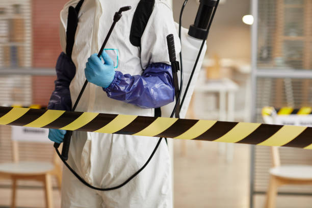 Professional Sewage Cleanup technician working in Homer, IL